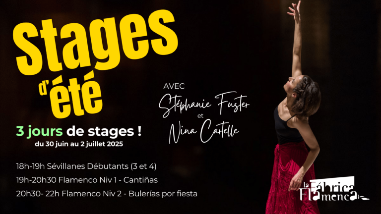 Stage été 2025 flamenco
